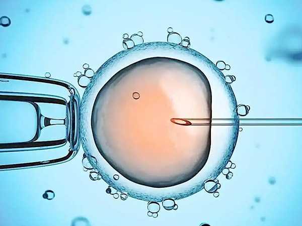 代孕那个最权威_哪个国家代孕合法_试管囊胚等级怎么分？怎么看？