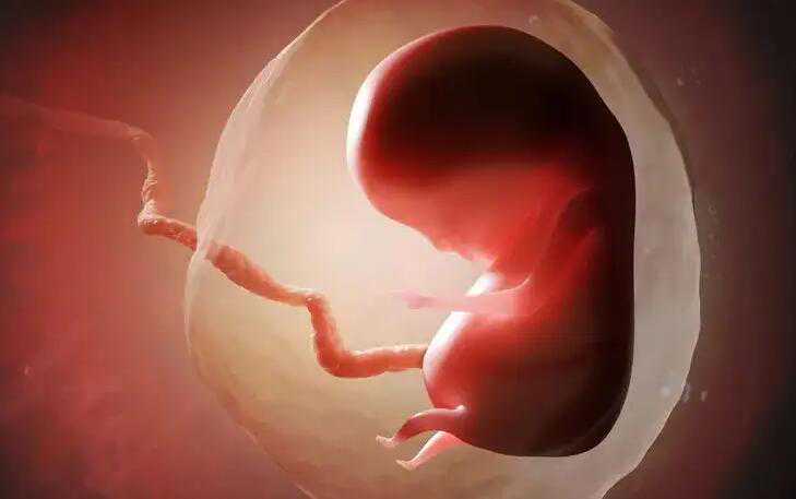 代孕试管互动百科_有哪些代孕女妈妈_好孕必达：试管婴儿三级胚胎适合移植吗