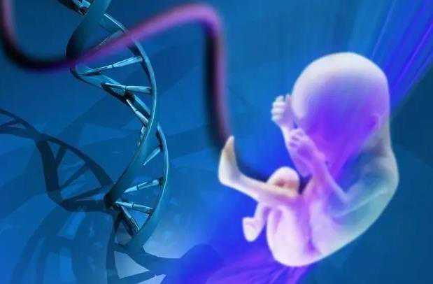 染色体异常引产，再次备孕需要做什么检查？注意什么？